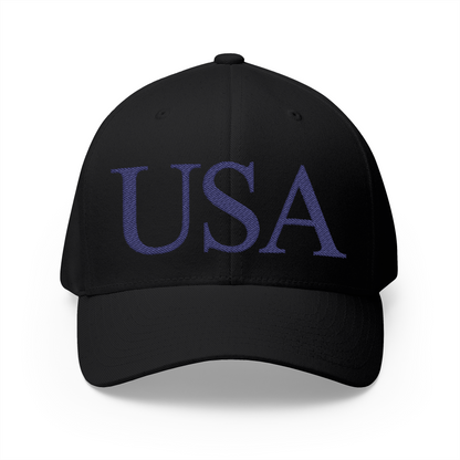 USA Embroidered Hat