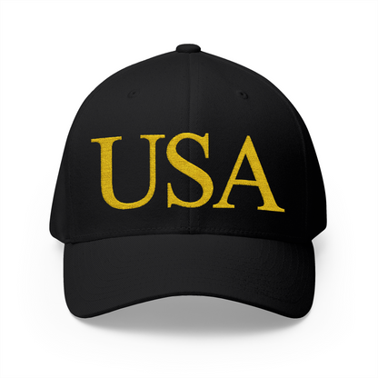 USA Embroidered Hat