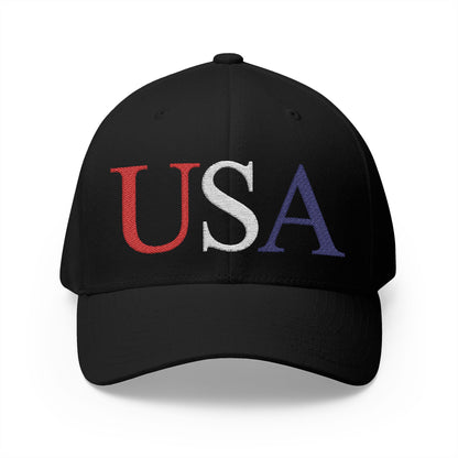 USA Embroidered Hat