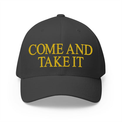 Come And Take It Embroidered Hat