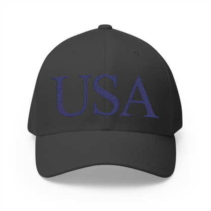 USA Embroidered Hat
