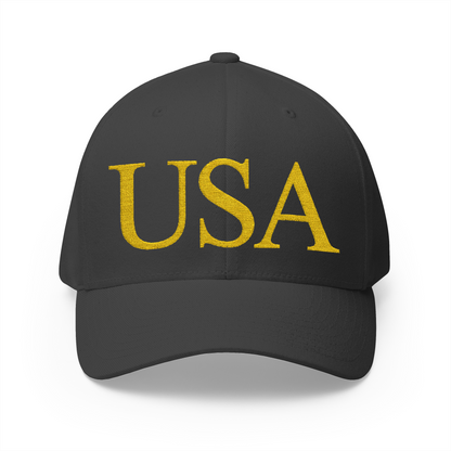 USA Embroidered Hat
