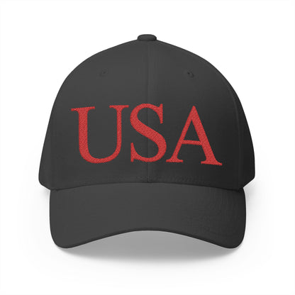 USA Embroidered Hat