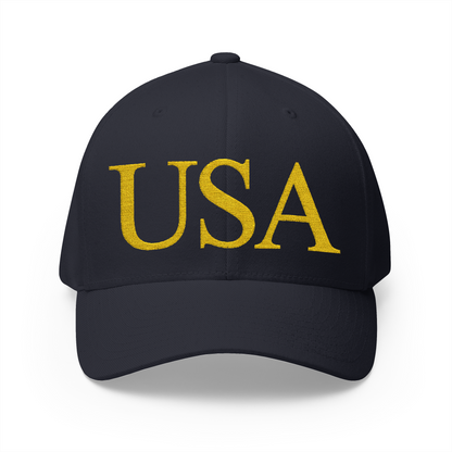 USA Embroidered Hat