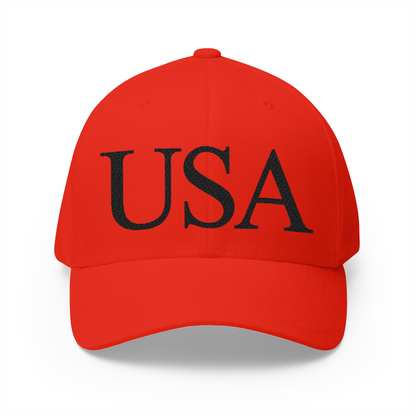 USA Embroidered Hat