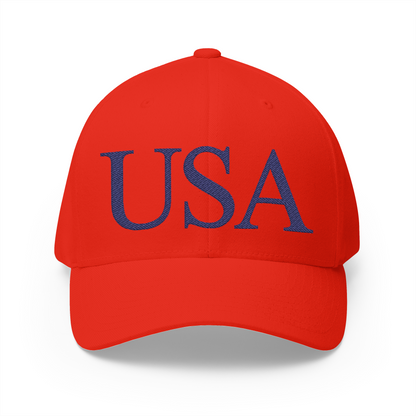 USA Embroidered Hat