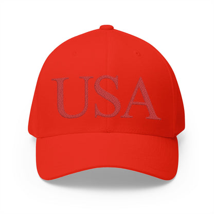 USA Embroidered Hat