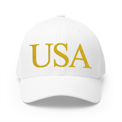 USA Embroidered Hat
